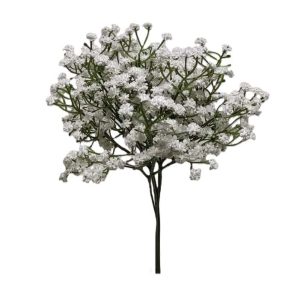 DUSTY MILLER BUSH x 9 Stems