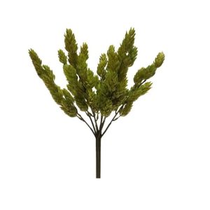 HOPS BUSH x 9 Stems
