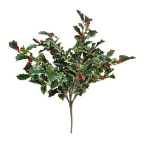 VARIEGATE FRESH CUT HOLLY BUSH x 7 Stems
