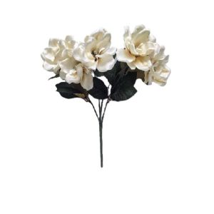 SOUTHERN MAGNOLIA BUSH x 5 Stems
