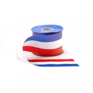 PATRIOTIC CELEBRATION