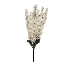 WHITE LOOSESTRIFE BUSH