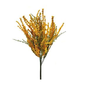 GOLD ERICA BUSH x 11 Stems