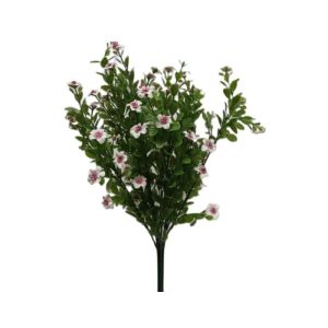 WHITE/PINK NEW JACOB'S LADDER BUSH